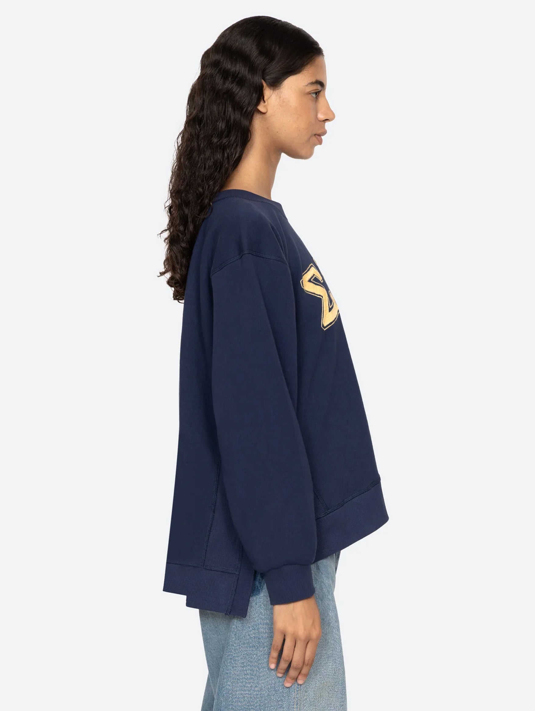 Adonis Embroidery Sweatshirt in Navy