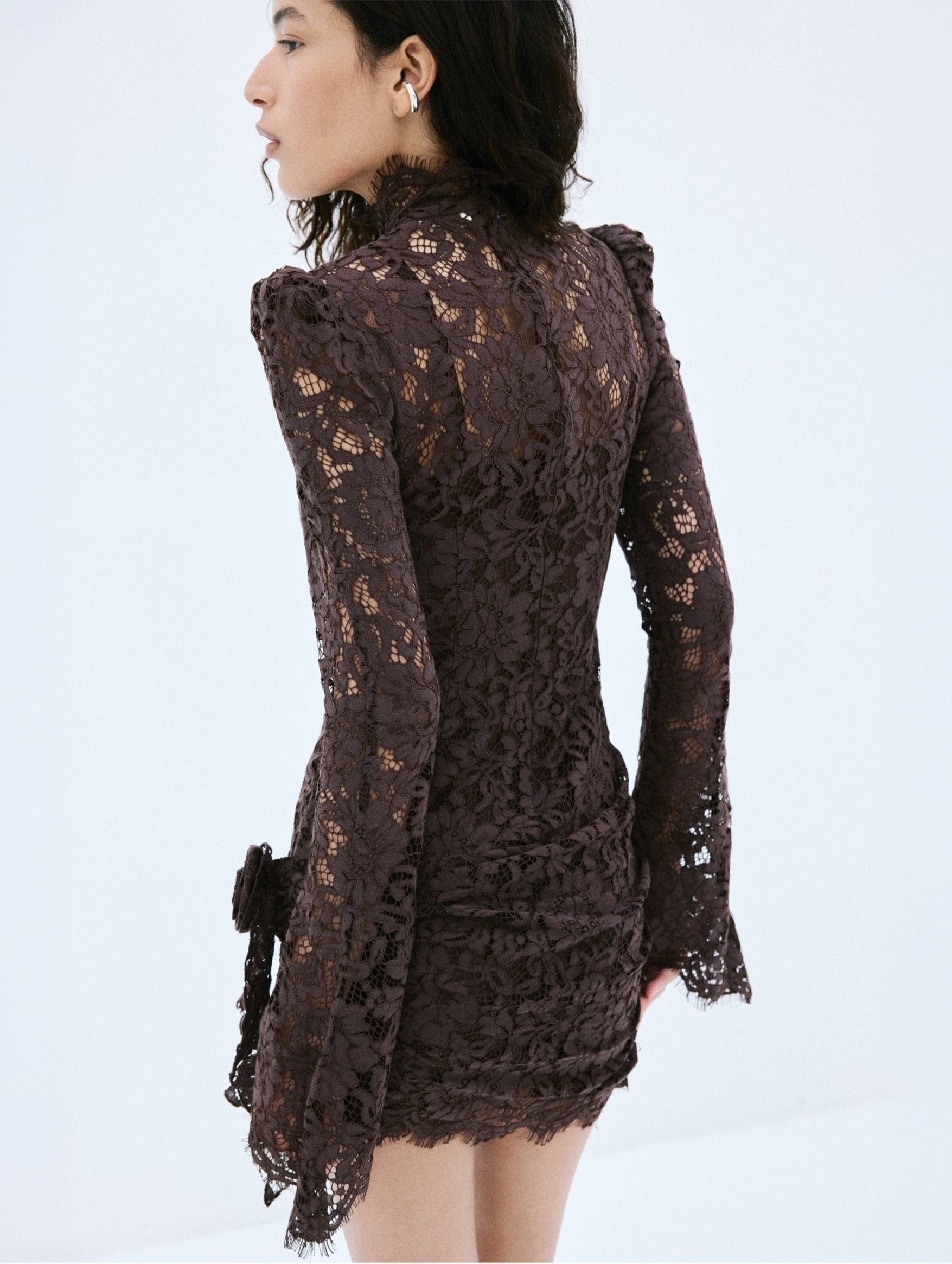 Bodita Mini Dress in Brown