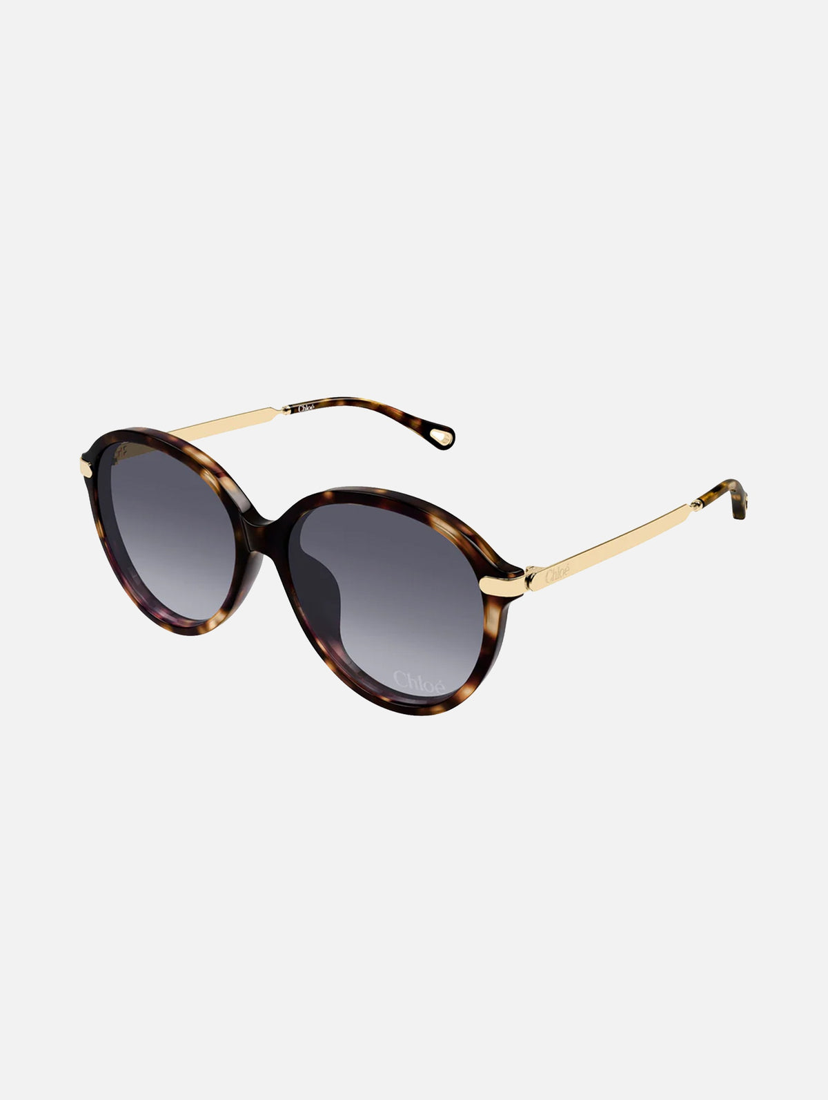 CH0358SK002 Sunglasses in Havana