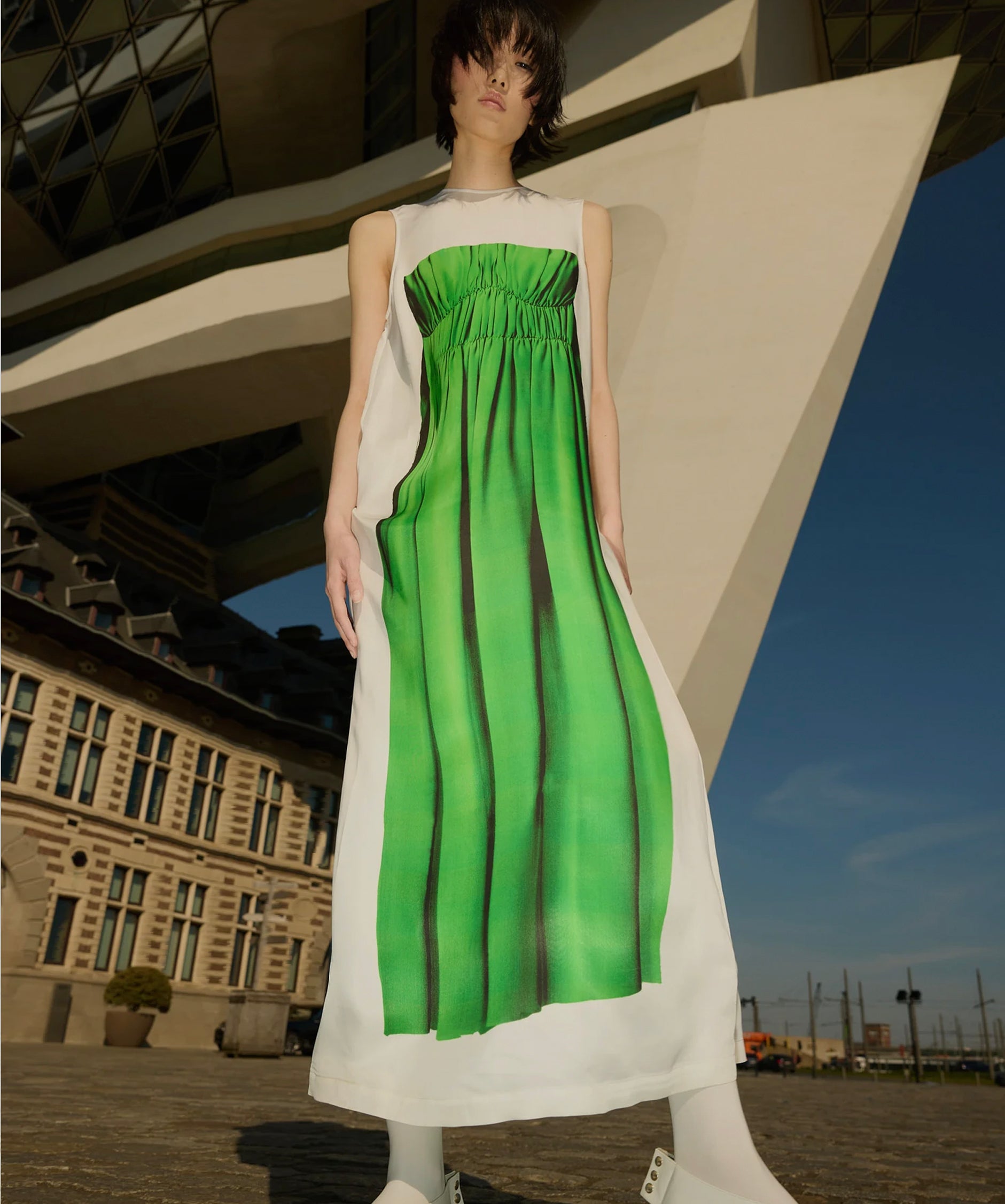 Discover Tibi
