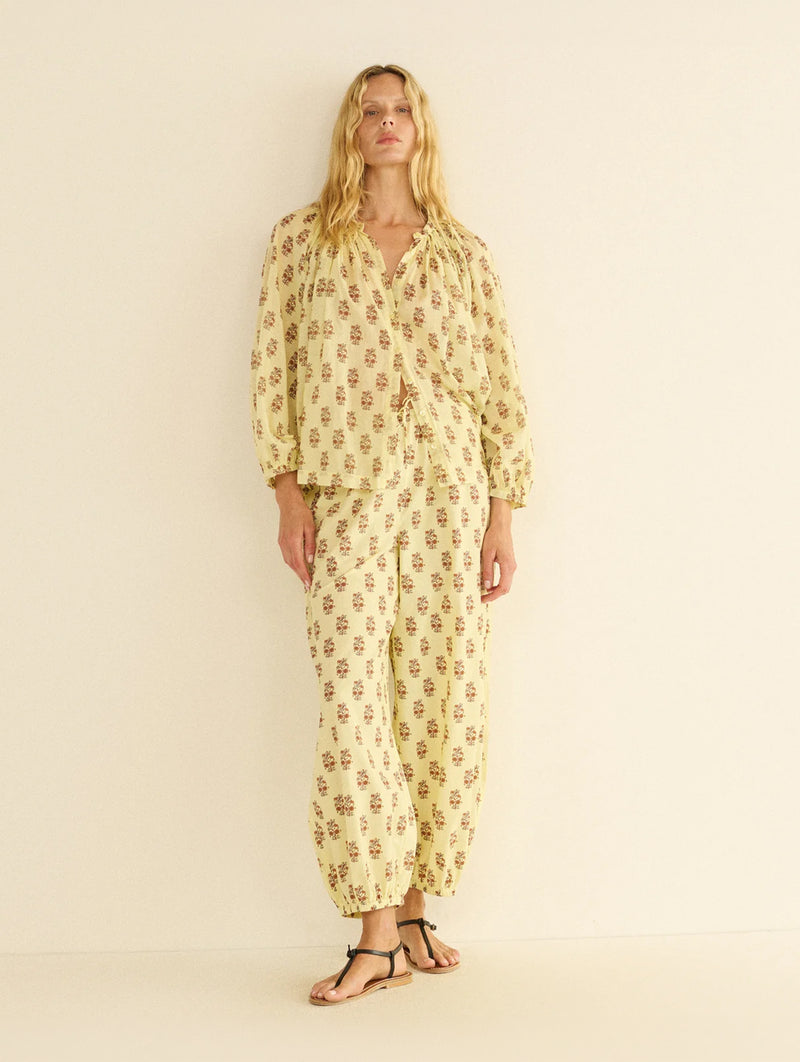 Jonie Top in Dandelion Grove
