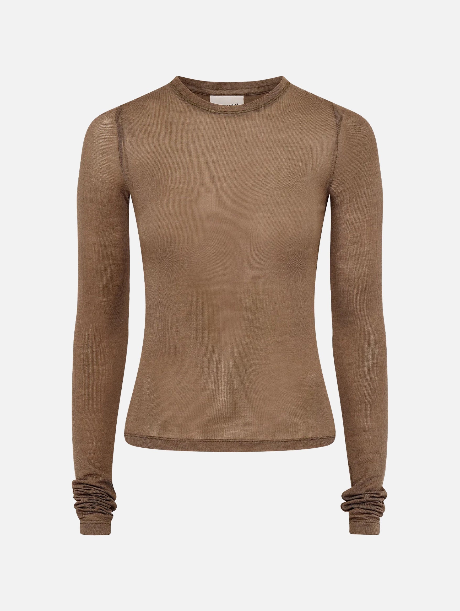 Sheer Long Sleeve Top in Clay