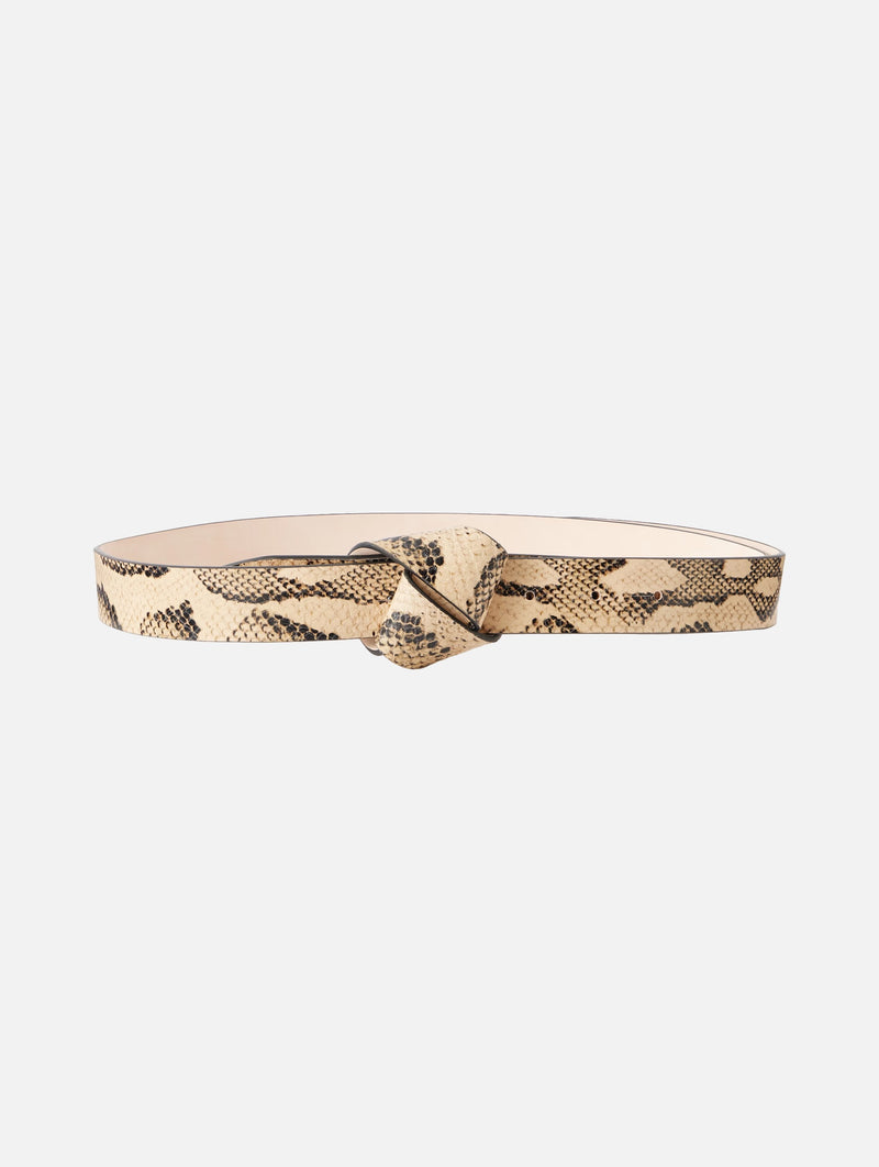 Lassio Belt in Sahara