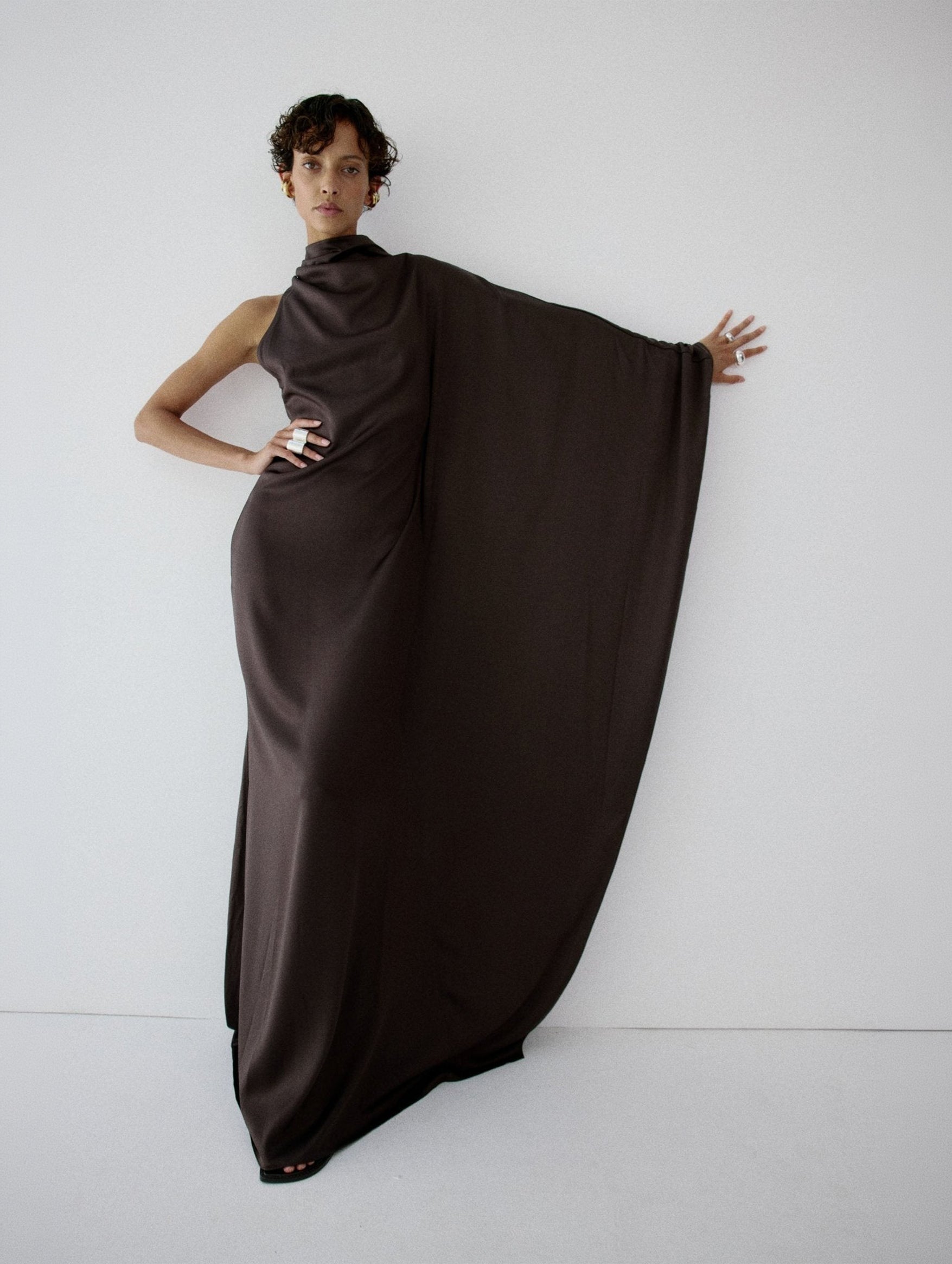 Odaluna Maxi Dress in Umber Brown
