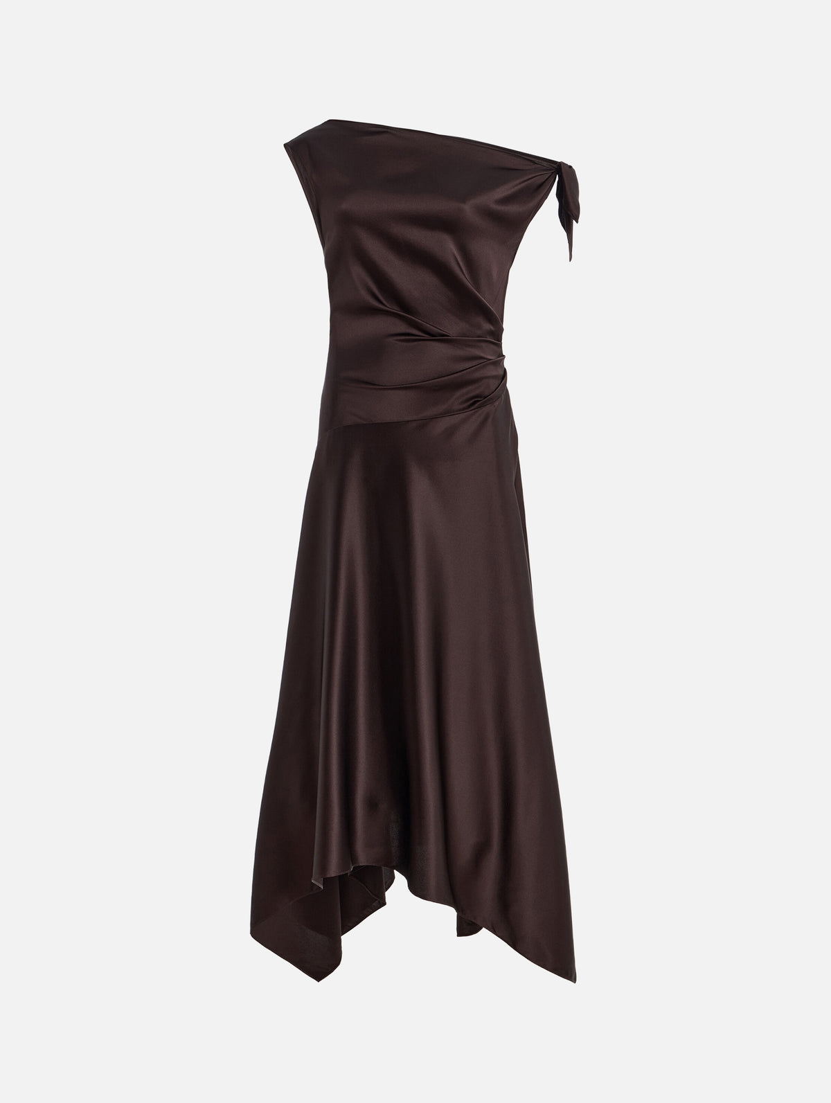 Portia Silk Dress in Earth