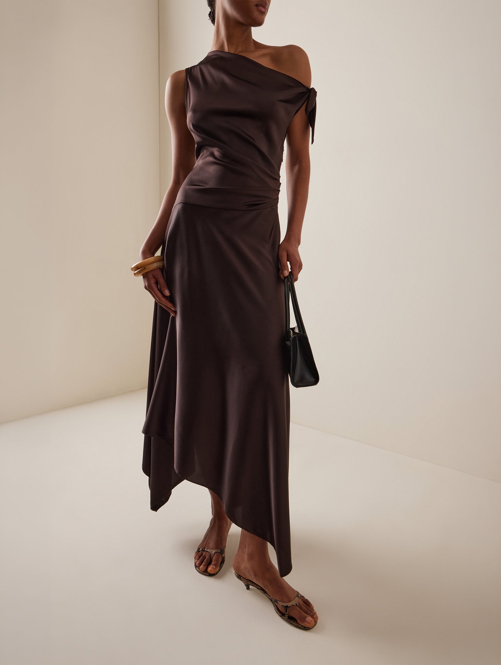Portia Silk Dress in Earth