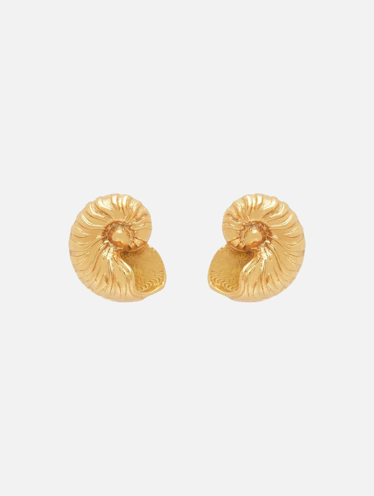 Reverie Nautilus Shell Studs in Gold