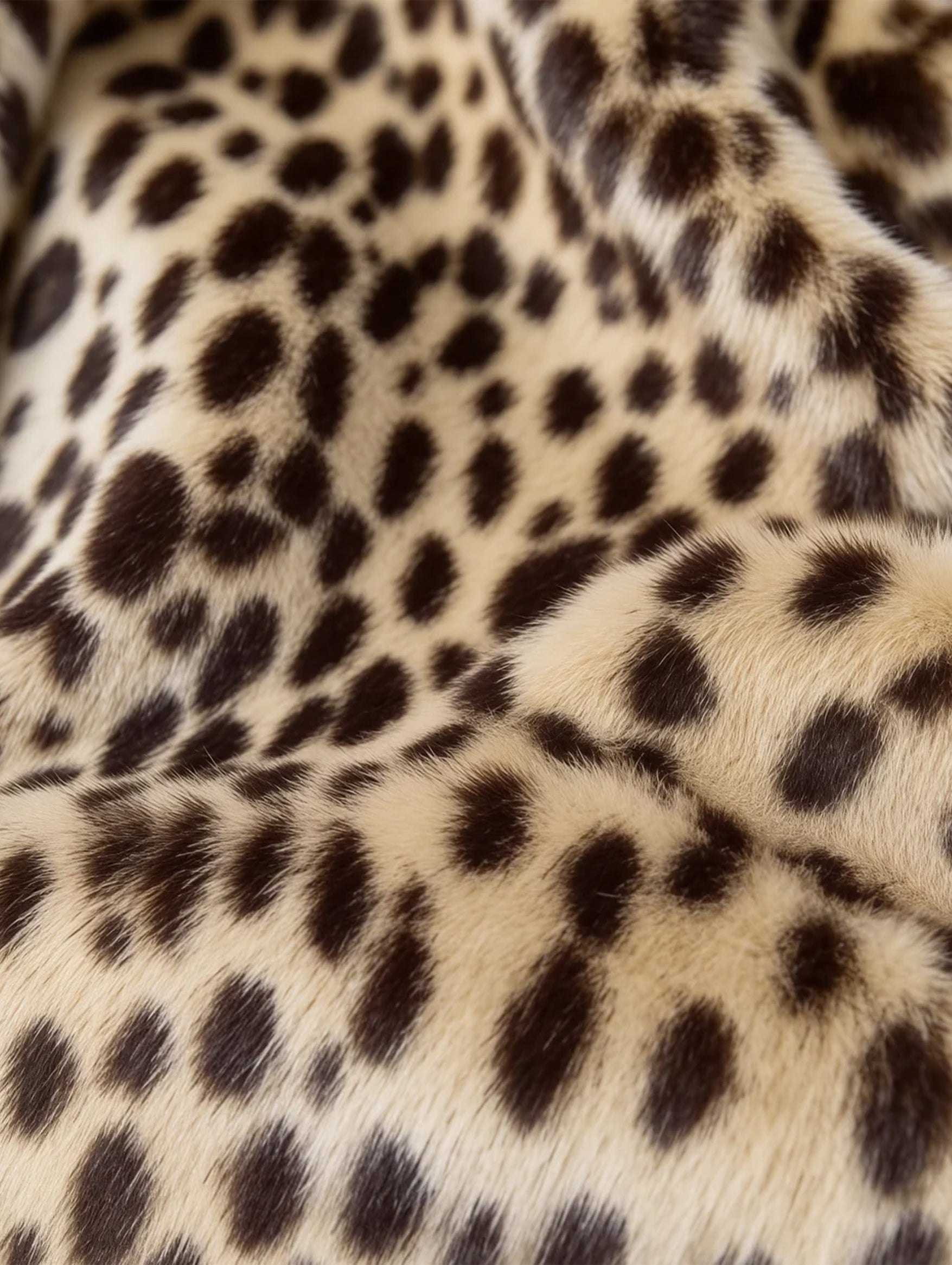Rolly Jacket in Leopard