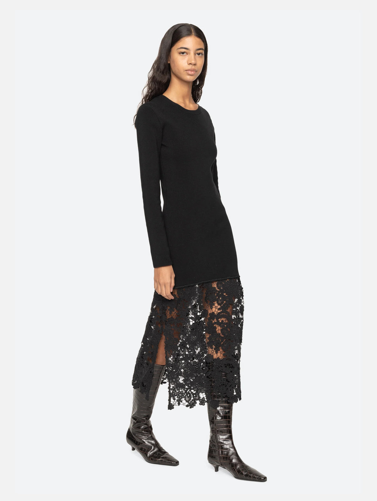 Sabine Embroidered Lace Dress in Black