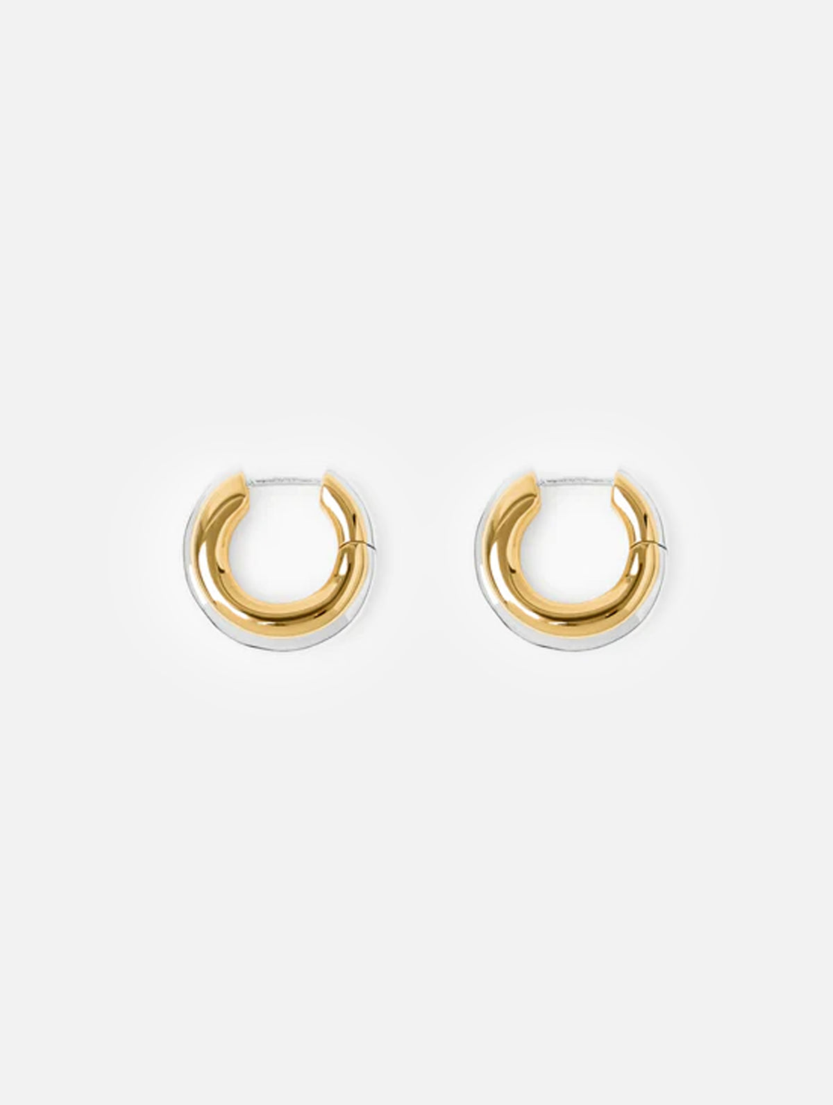 The Elenora Earrings in Gold
