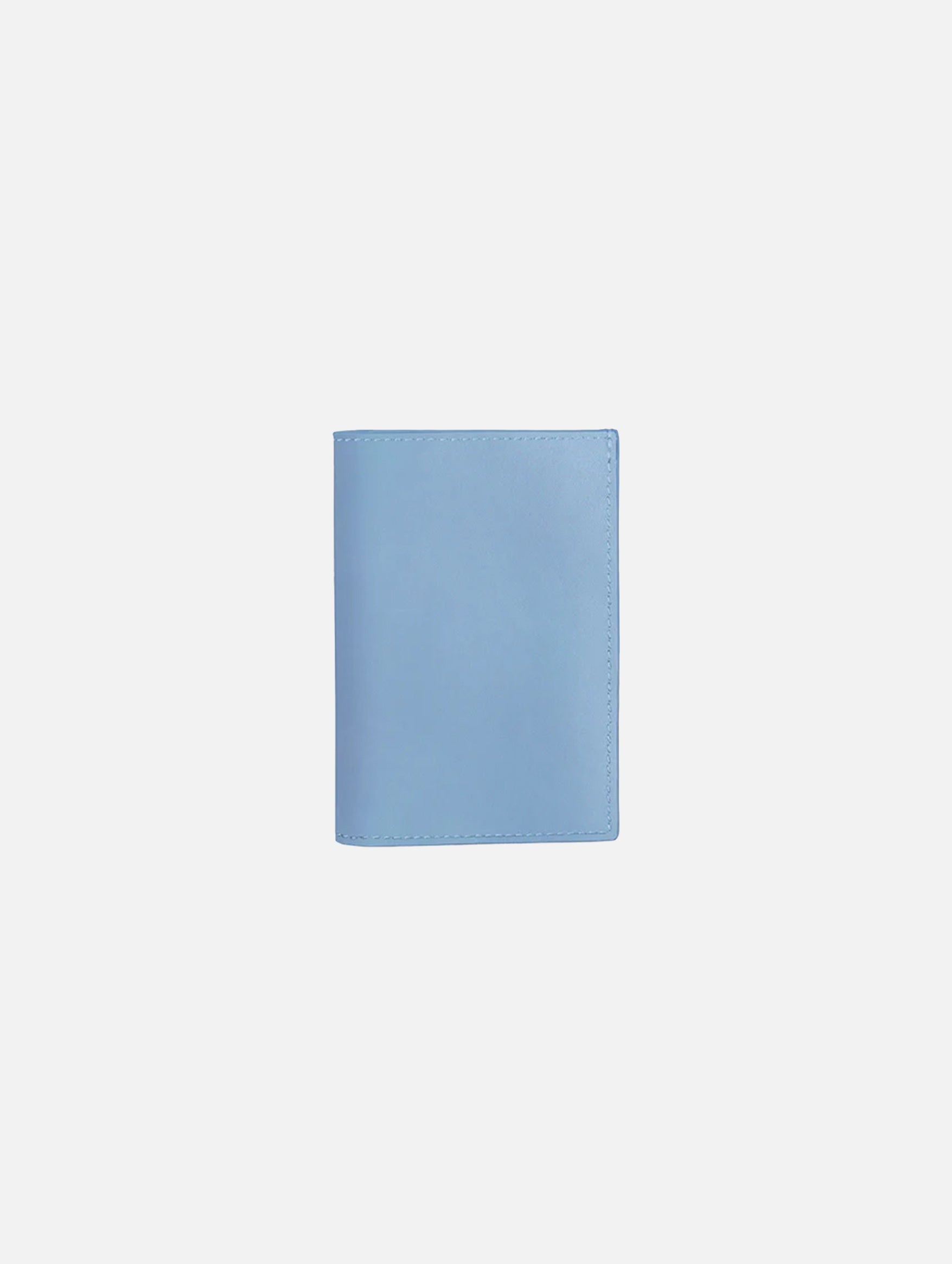 The Romy Passport Cover in Dove Blue