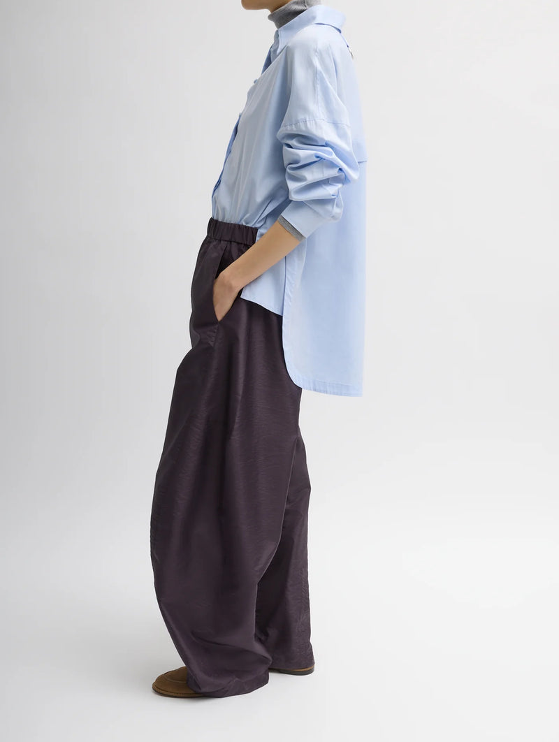 Crispy Nylon Regular Winslow Pant in Eggplant