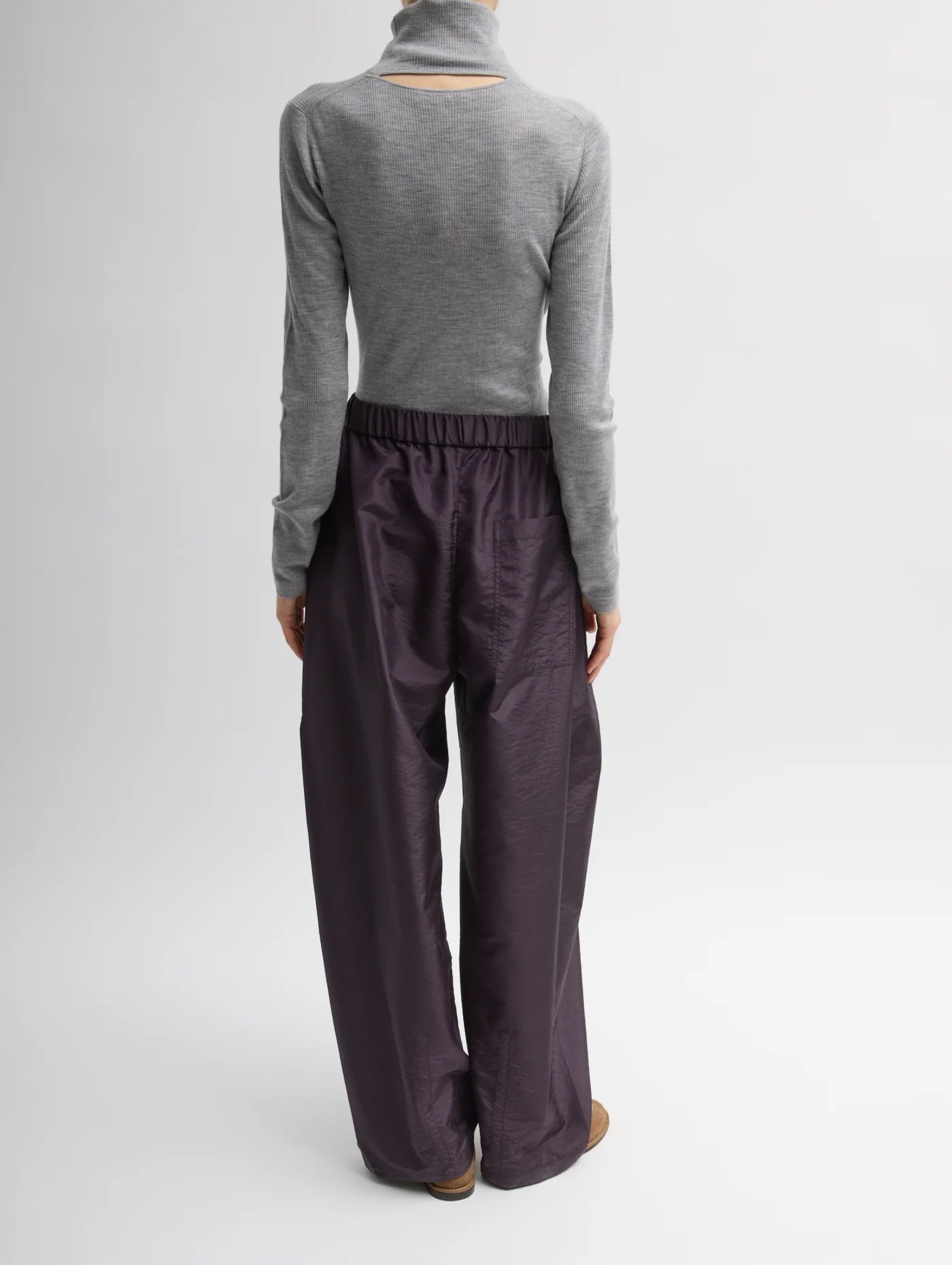 Crispy Nylon Regular Winslow Pant in Eggplant