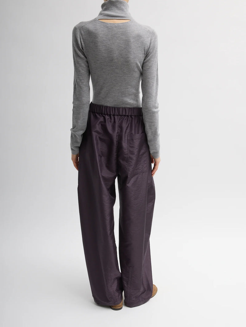 Crispy Nylon Regular Winslow Pant in Eggplant