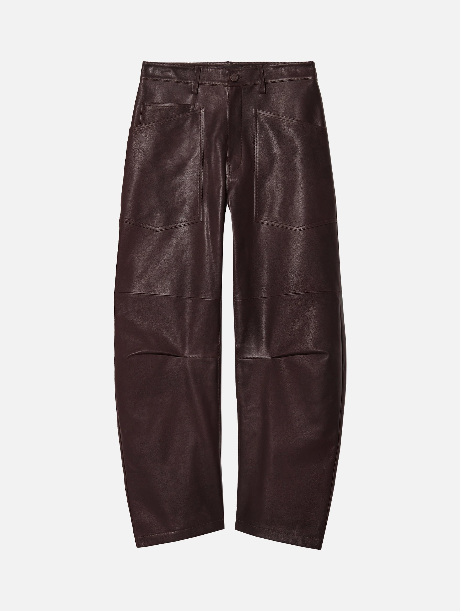 Shon Leather Pant in Dark Brown