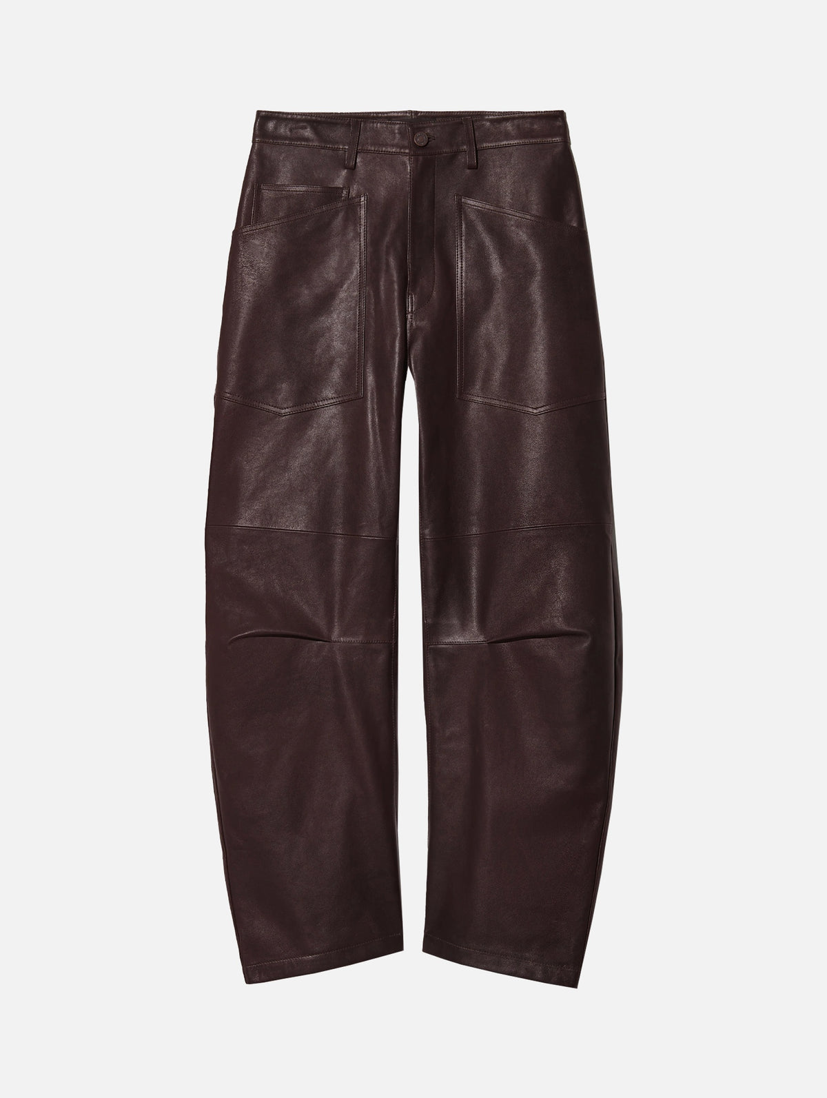 Shon Leather Pant in Dark Brown