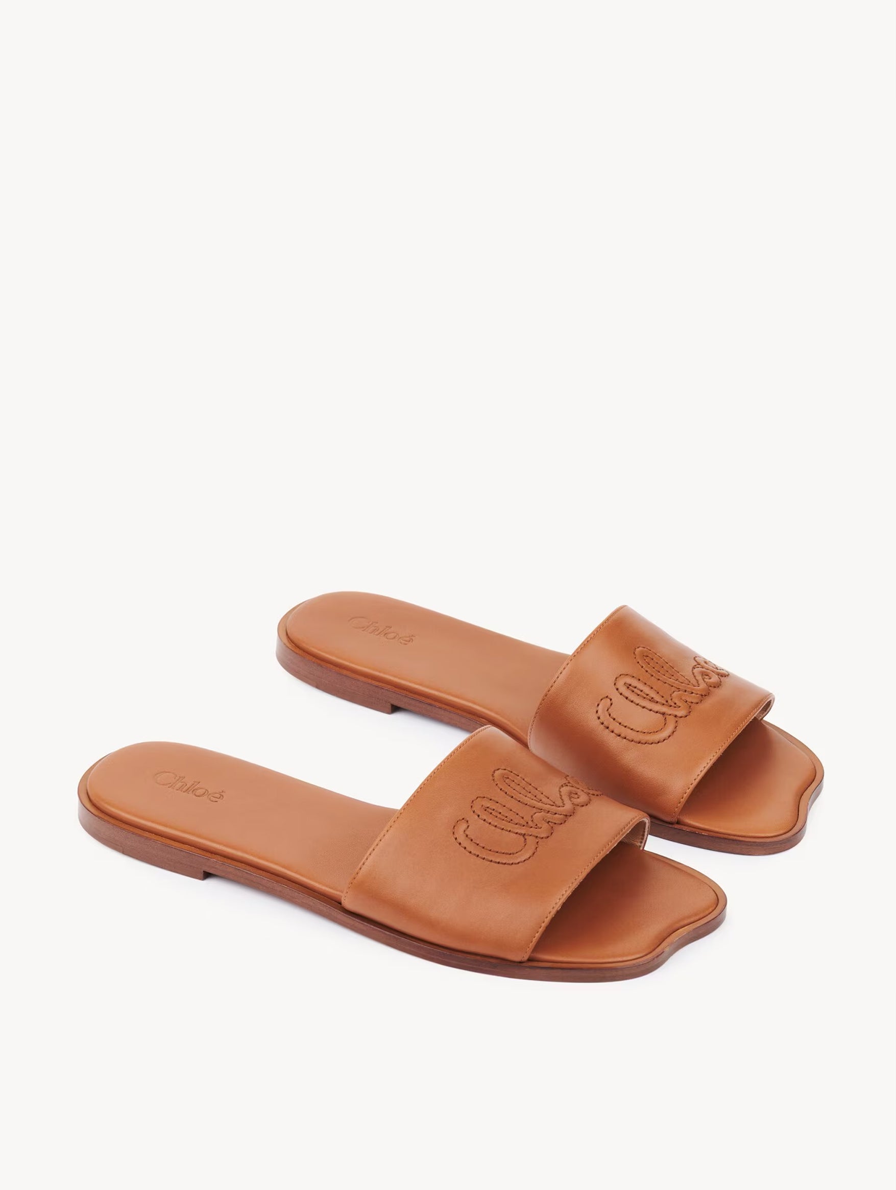 Chloé Soleil Slides in Ginger Brown